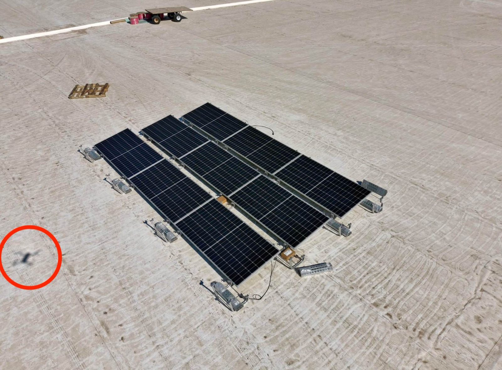 9 new Tesla Model Y cars spotted at new Gigafactory Texas