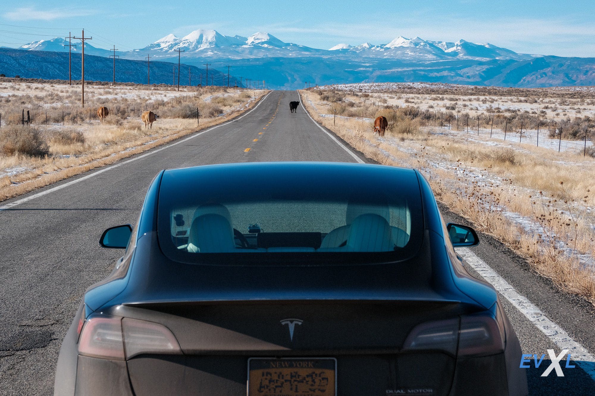 Phantom Braking persistent problem for Tesla Drivers