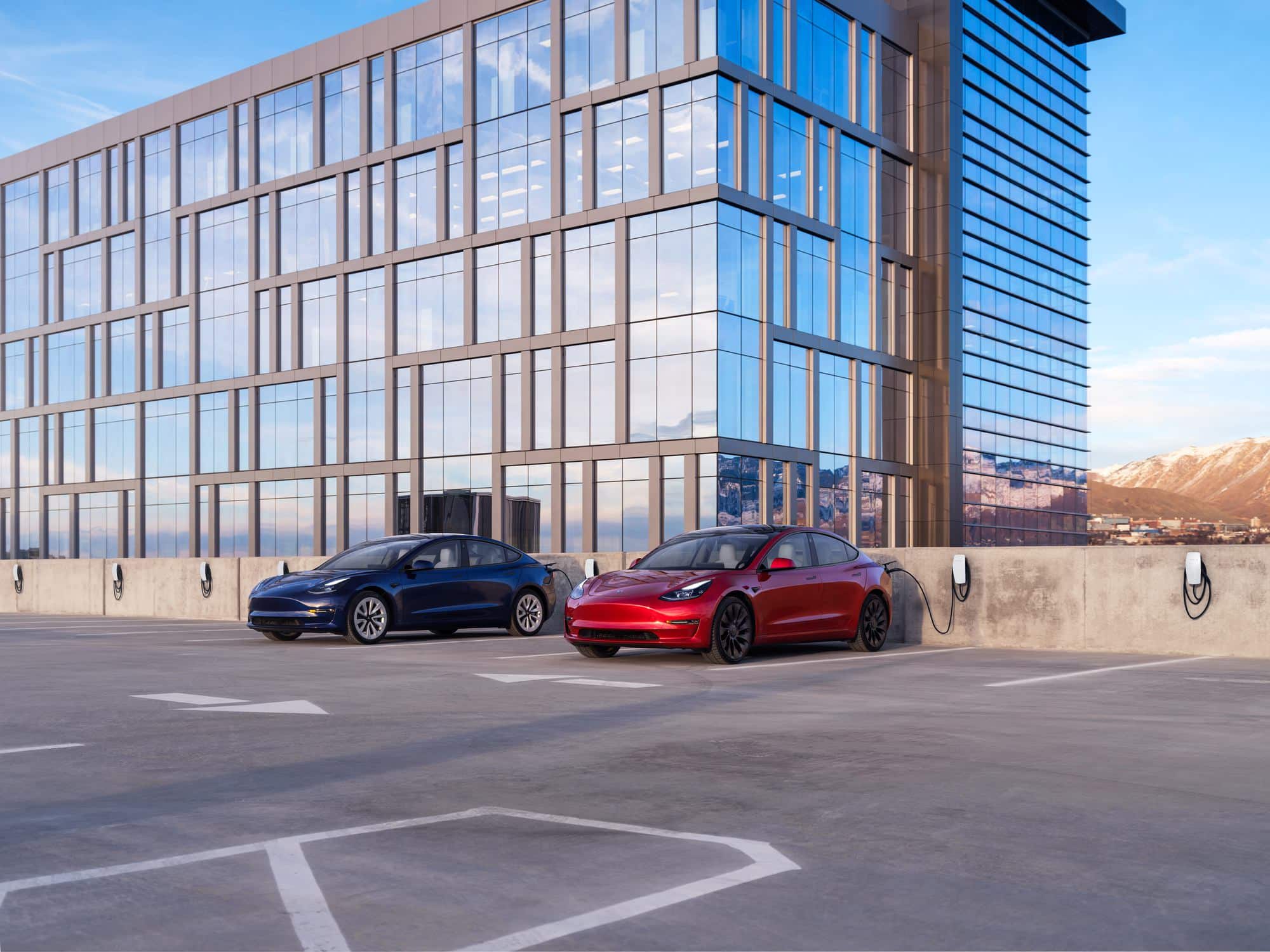 Tesla's Shocking Edge in the EV Profit Race