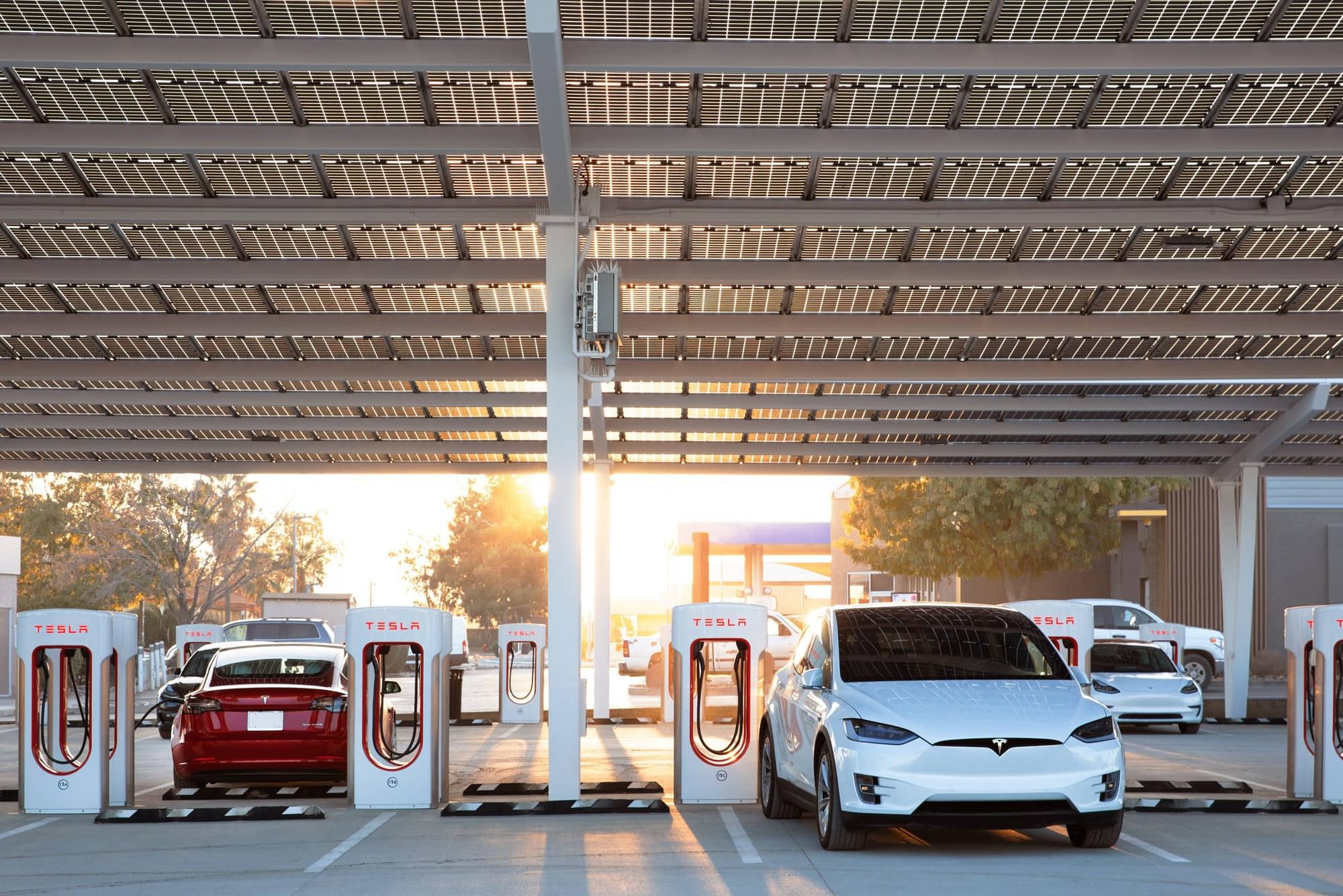 Tesla's Connector Dominates: CharIN Voices Concern