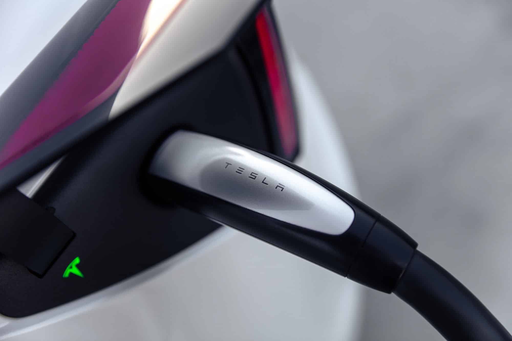 Tesla's Connector Dominates: CharIN Voices Concern