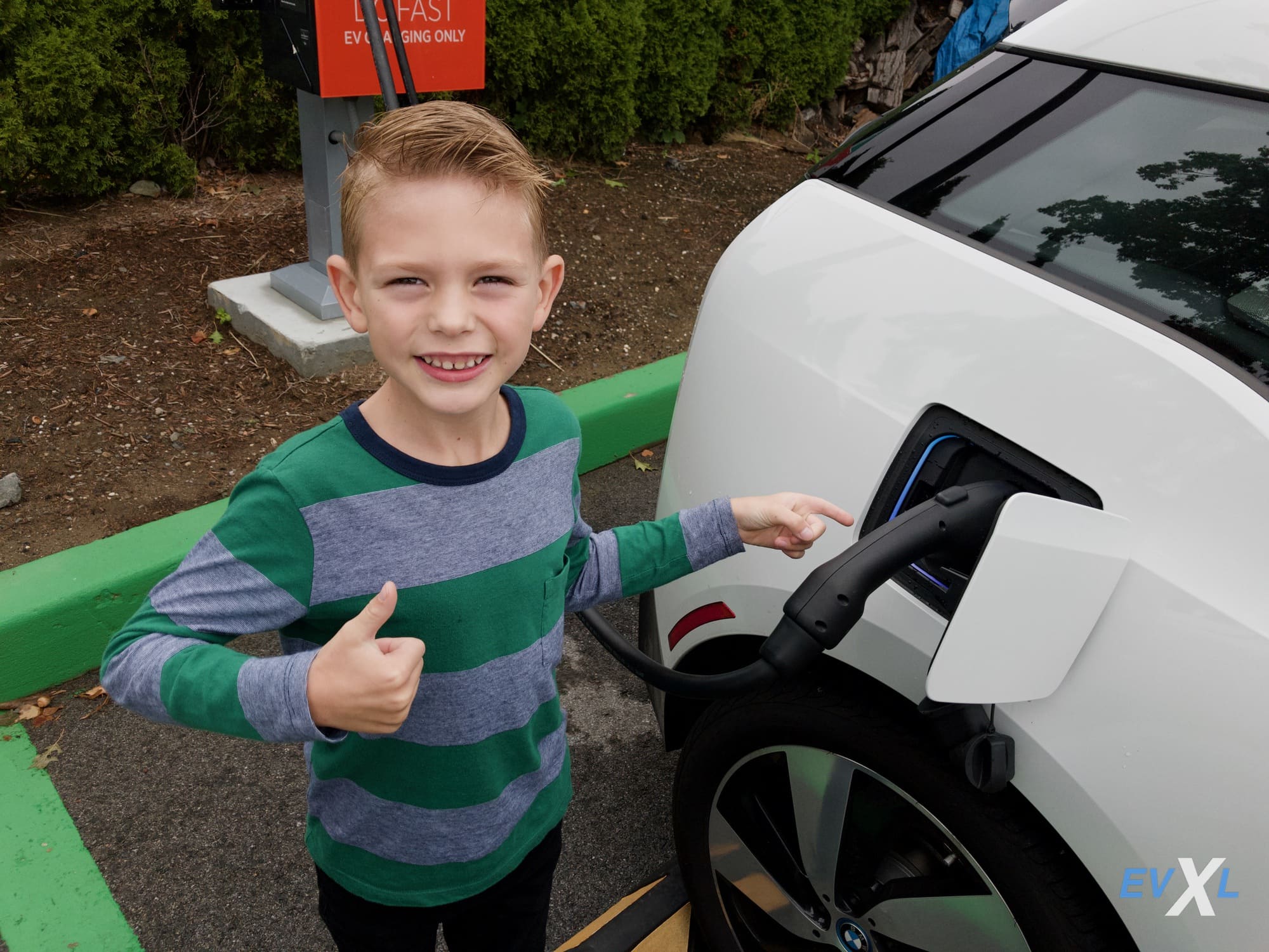 House of Lords Delves into UK's Electric Vehicle Transition