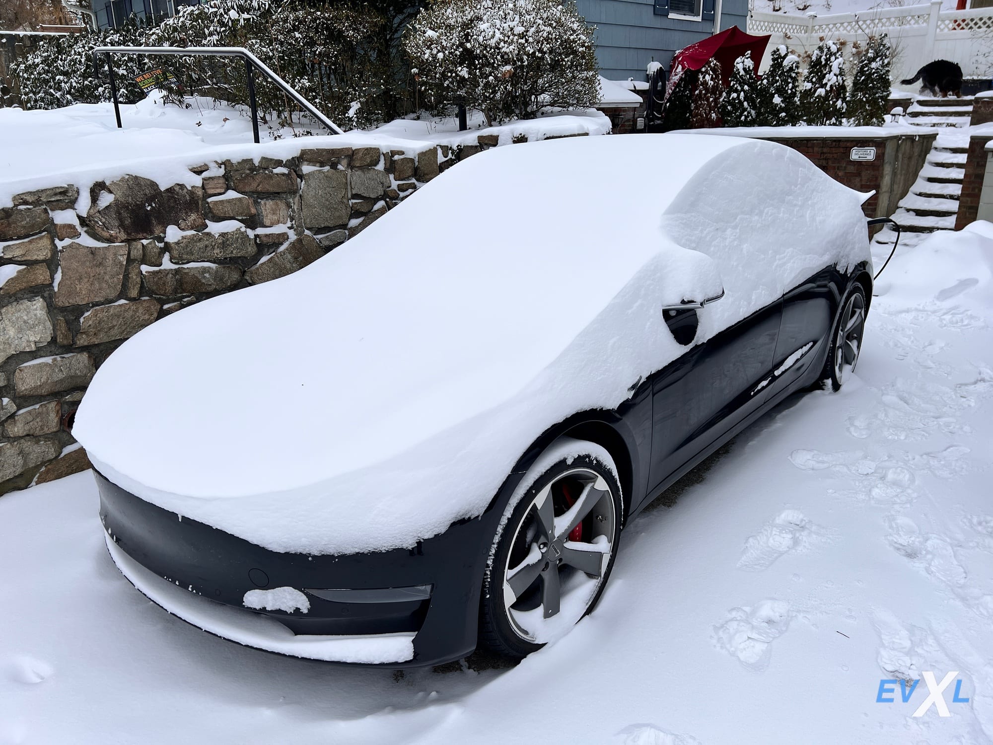 Tesla Defrost Mode Can Crack Your Windshield: Here's How to Prevent It