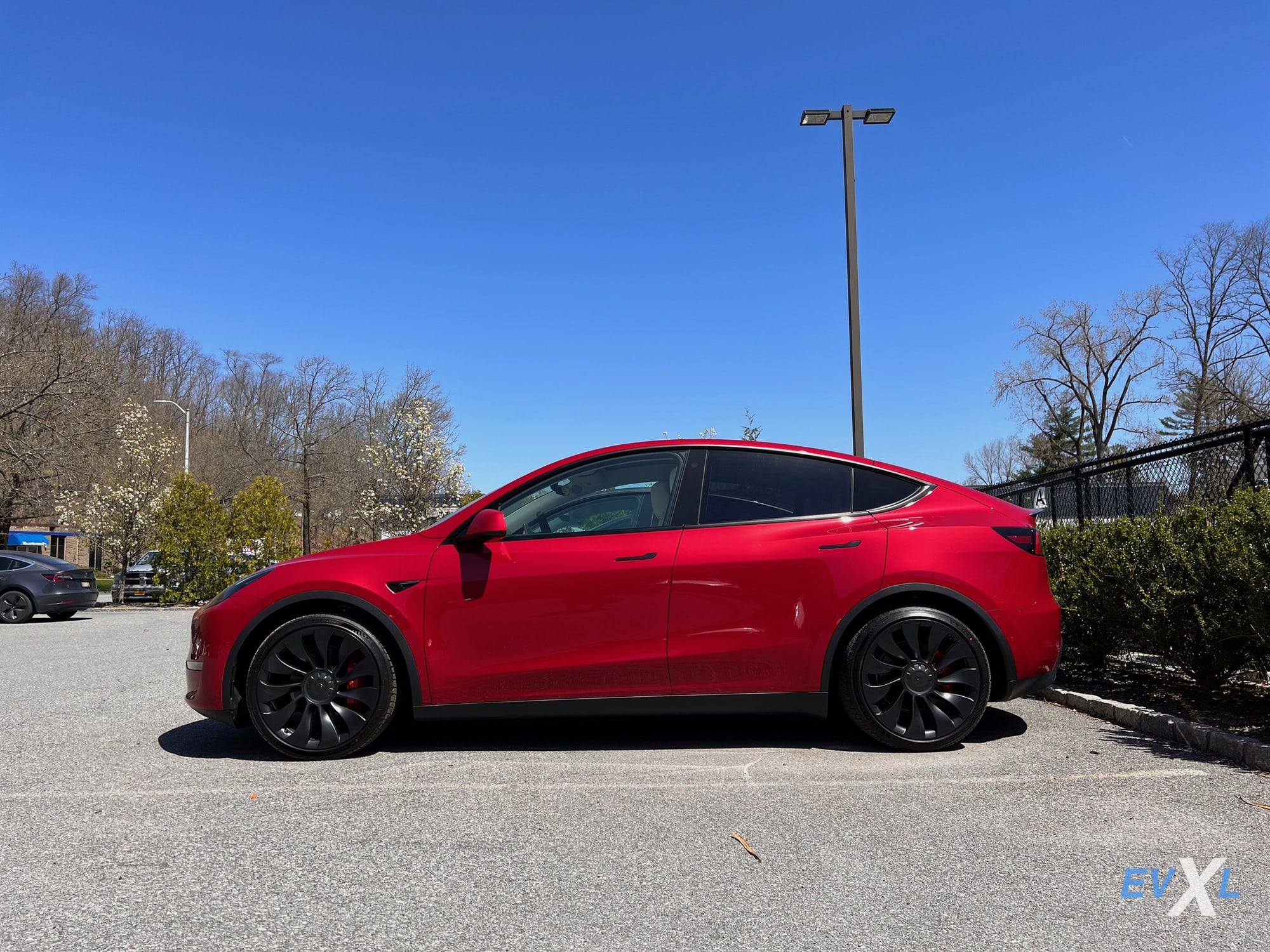 Tesla Takes the Crown: Leading the Pack in New Zealand's Auto Market
