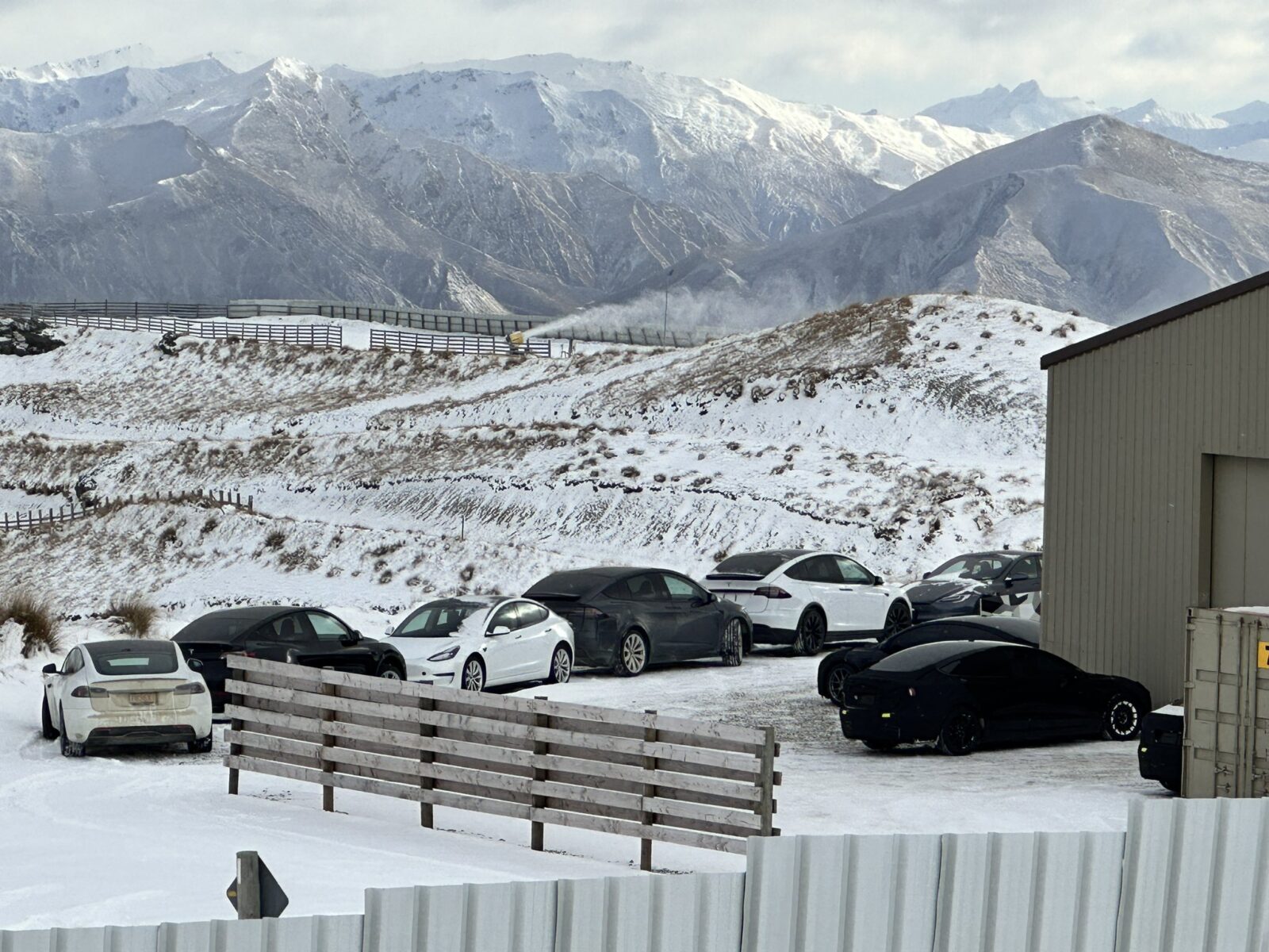Tesla's Model 3 Highland Prototypes Invade New Zealand