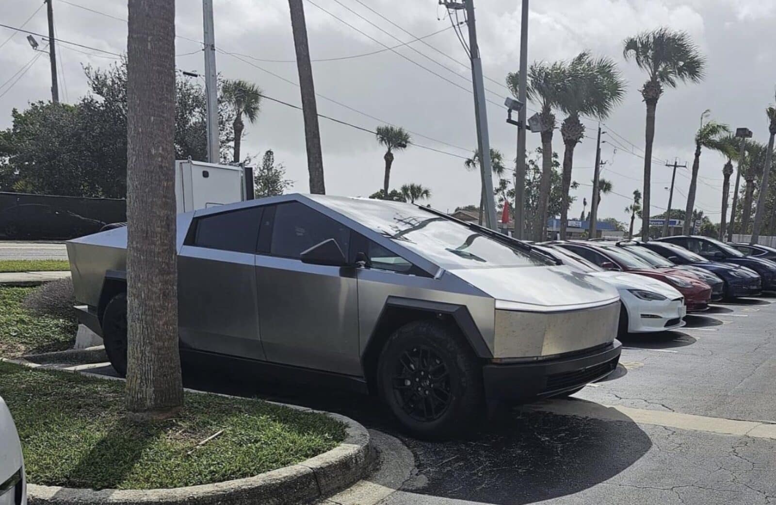 Cybertruck Towers Over Tesla Lineup. Photo courtesy of Eva McMillan.