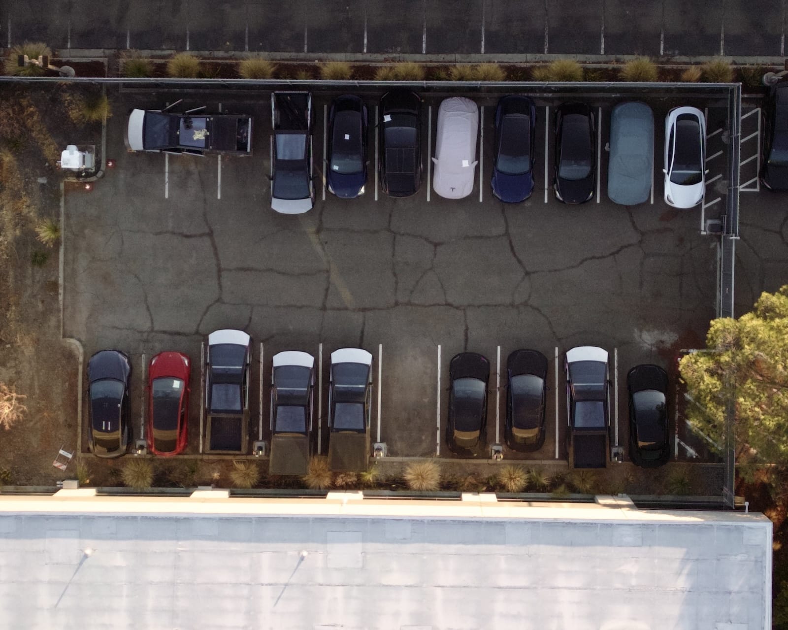 Cybertruck Towers Over Tesla Lineup. Photo courtesy of omg_Tesla/Rivian.