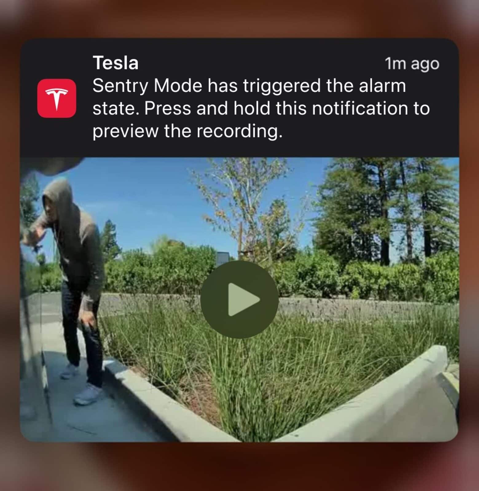 Tesla Unveils Spring Release with Exciting New Features