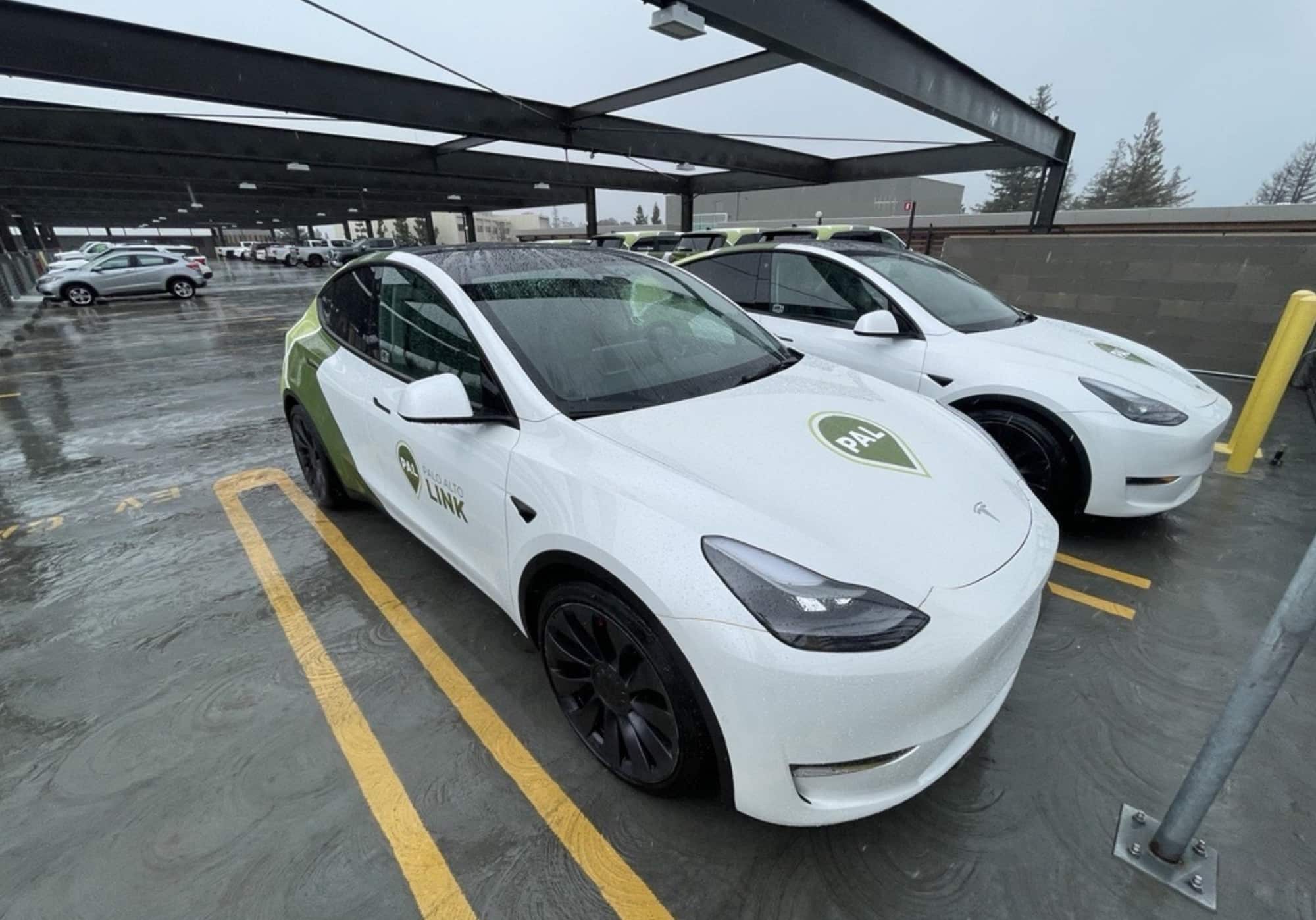 Palo Alto and Tesla Explore Groundbreaking Robotaxi Partnership as City's Transit Costs Soar