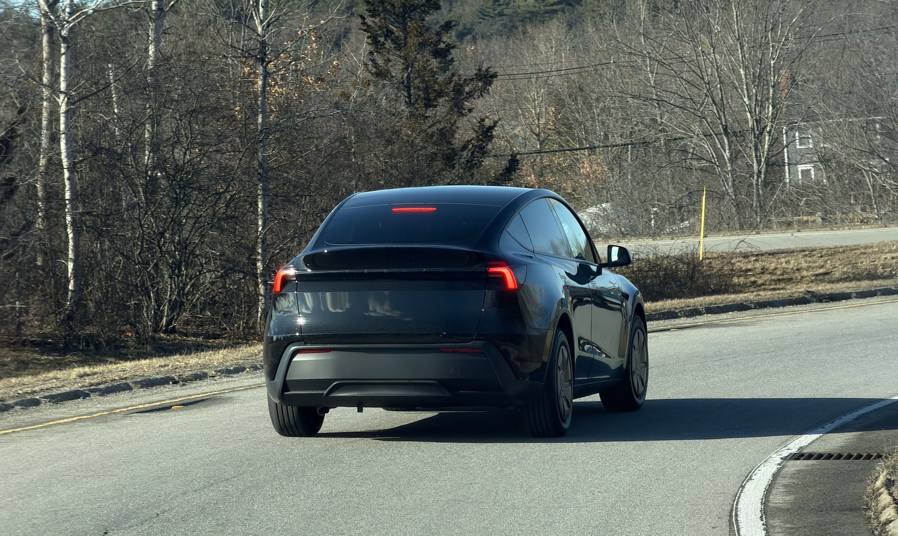First Tesla Model Y Standard Spotted in the Wild: Here's What Budget Buyers Are Actually Getting